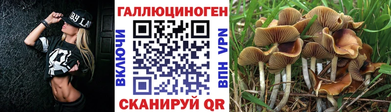Купить закладки  Ковылкино  Псилоцибиновые грибы мухоморы 